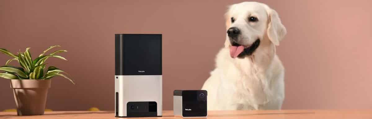 Petcube Vs Furbo : Which One You Should Buy