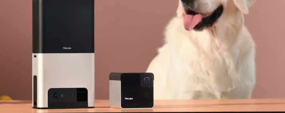 Petcube Play Vs Bites (V2): Which Is The Better Product?