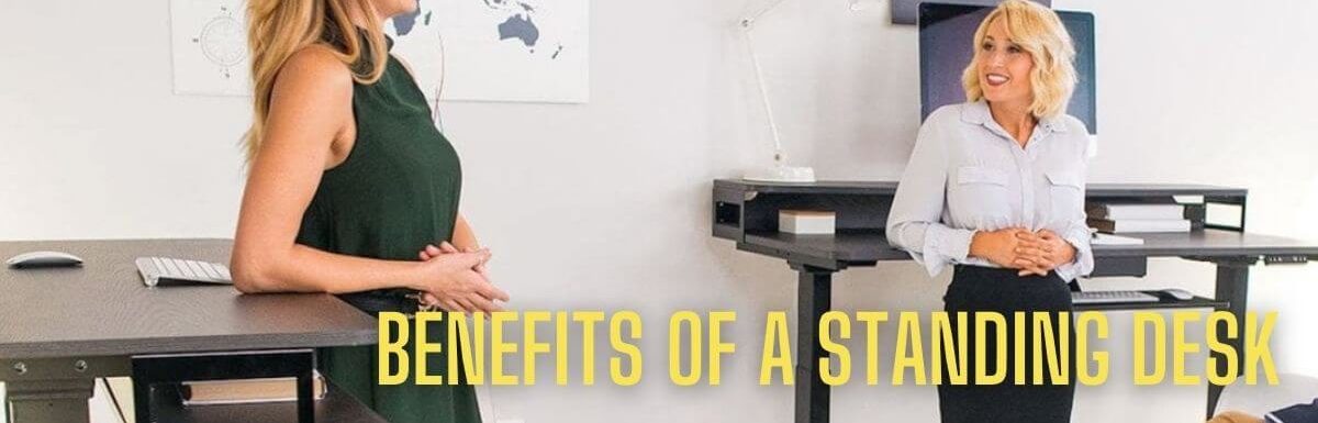 Benefits Of A Standing Desk: Why Should You Buy One
