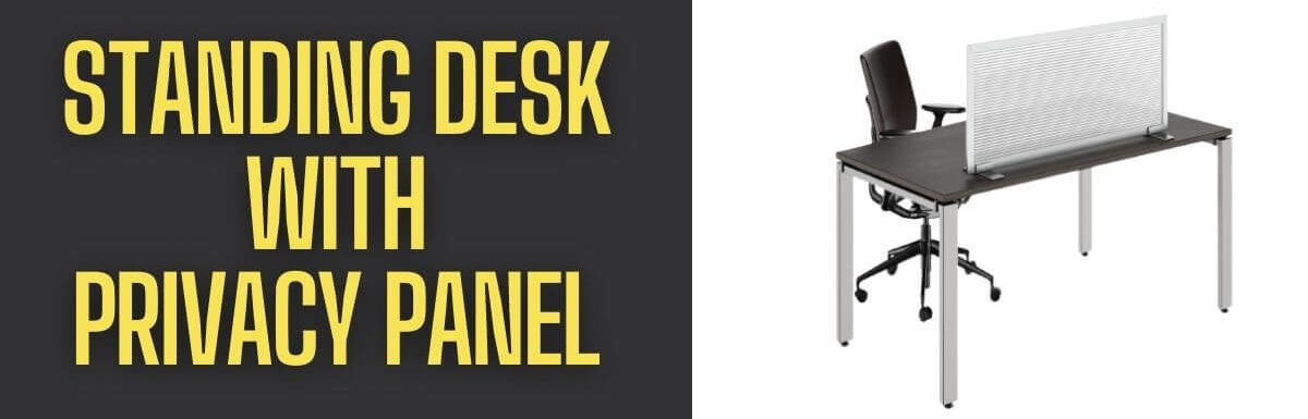 Standing Desk With Privacy Panel :  Why To Choose It?