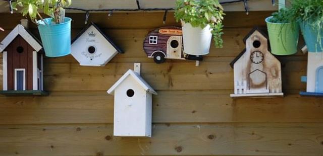 Spy cameras in diferent Birdhouses
