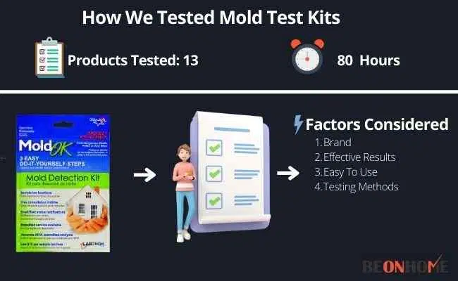 Mold Test Kits Testing and Reviewing