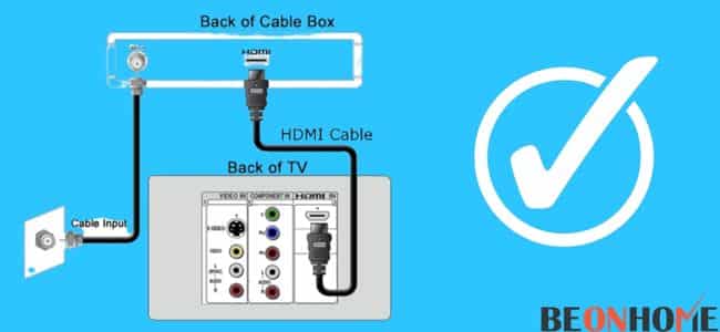 All connections between your TV and the cable box.