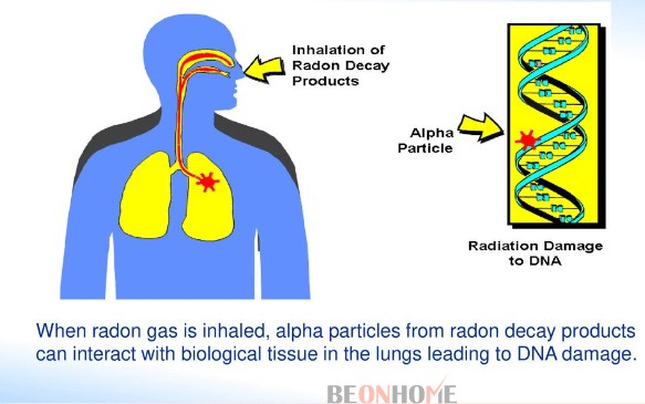 How Radon affect Humans