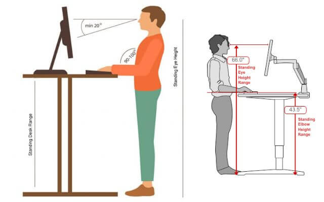 A person showing The Ideal Height Of A Standing Desk