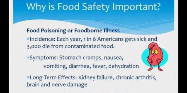 Importance Of Food Safety