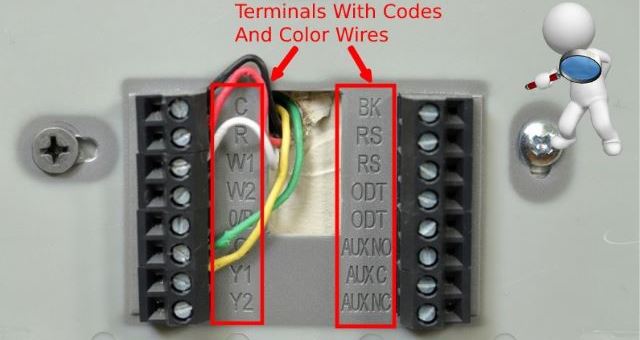 Checking  Connections And Wiring