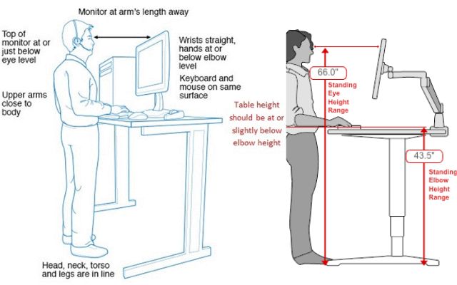The Correct Height Of a Standing Desk